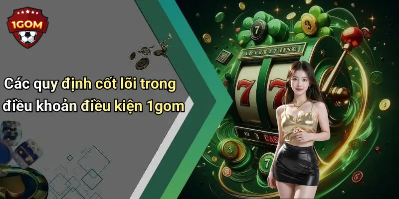 Các quy định cốt lõi trong điều khoản điều kiện 1gom
