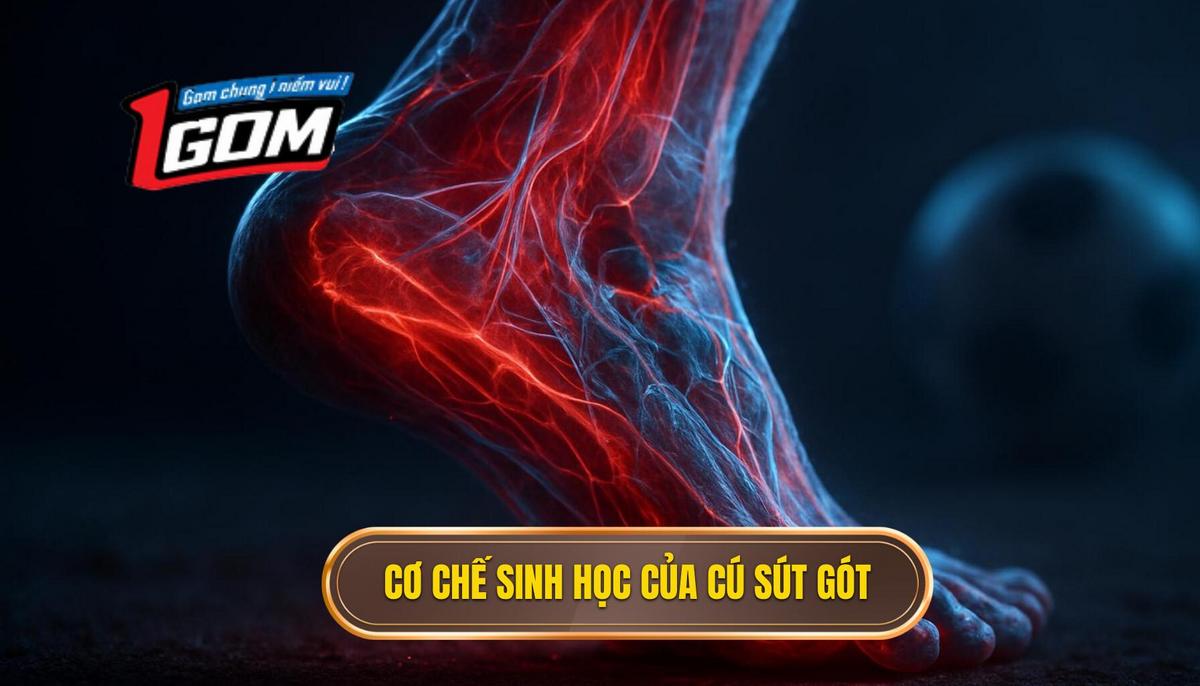 Cơ chế Sinh học và Phân tích Động lực học của Cú Sút Gót