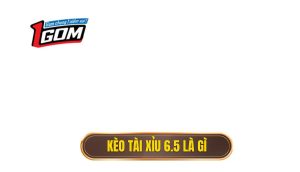 Kèo tài xỉu 6.5 là gì