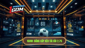 Kèo tài xỉu 2.75 có ý nghĩa gì
